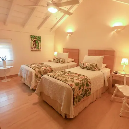 La Fe (adults Only) Bed & Breakfast