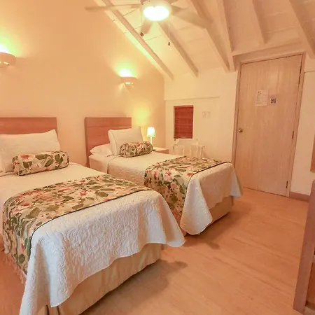 Bed & Breakfast La Fe (adults Only)