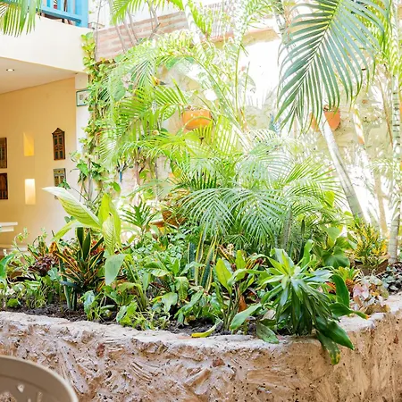 Bed & Breakfast La Fe (adults Only) Cartagena